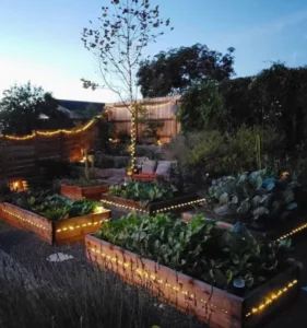 A beautifully arranged garden with raised planting beds, enhanced by soft lighting for a cozy evening ambiance.