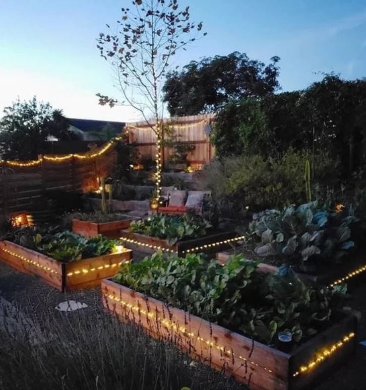 A beautifully arranged garden with raised planting beds, enhanced by soft lighting for a cozy evening ambiance.