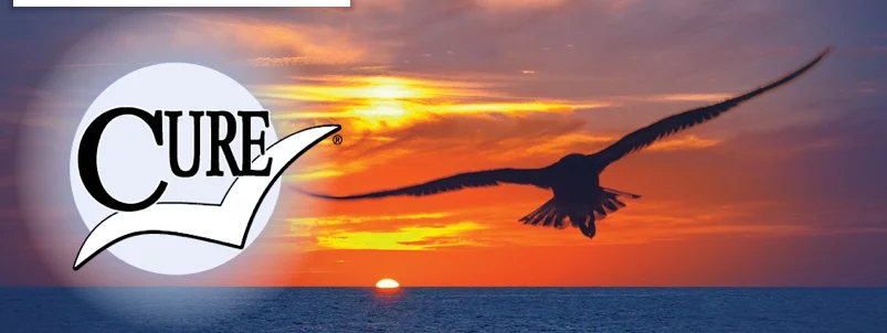 A sunset over the ocean with a silhouette of a bird in flight. The image includes a circular logo with the word 'CURE' in bold letters.