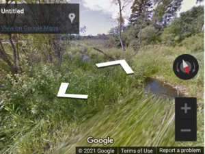 A 3D view of a lush green marsh area with tall grass and shrubs surrounding a small stream. An arrow-shaped navigation icon is displayed, indicating direction. The view includes a clear sky and dense trees in the background.