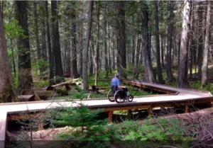A man sitting in a wheelchair roaming in woods on a pathway