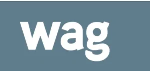 Logo of the Winnipeg Art Gallery, featuring the word 'wag' in bold, white letters on a muted blue background. The design emphasizes accessibility themes related to the gallery.