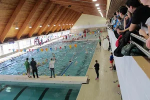 A spacious indoor swimming pool filled with people swimming and enjoying the water.