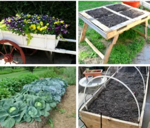 A collage of 4 images containing garden beds, 2 of them have flowers while 2 have only soil