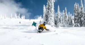 Two snowboarders carving through fresh snow on a mountain slope, surrounded by tall snow-covered trees under a clear blue sky.