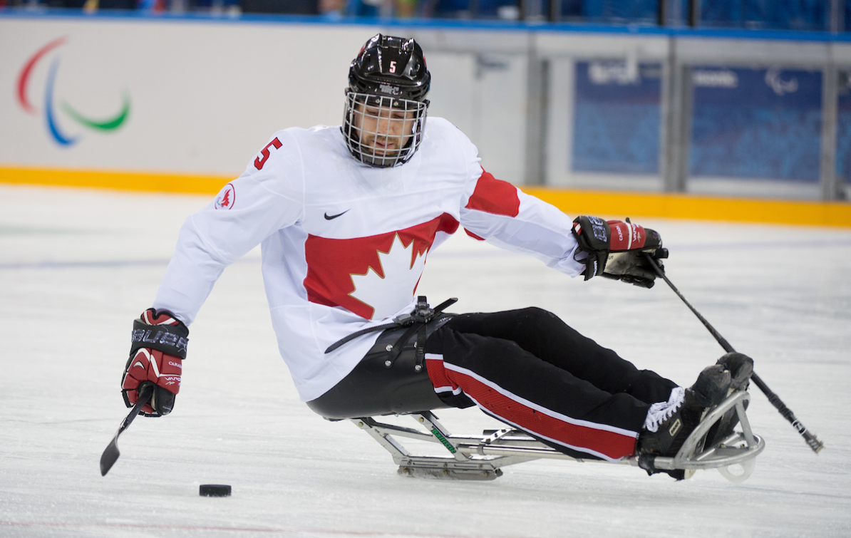 Canadian pair, Olympian sledge hockey player in white and red jersey handles the puck as he glides down the ice