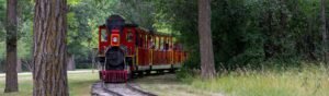 A vibrant red train travels along tracks, weaving through a dense forest filled with greenery and towering trees.