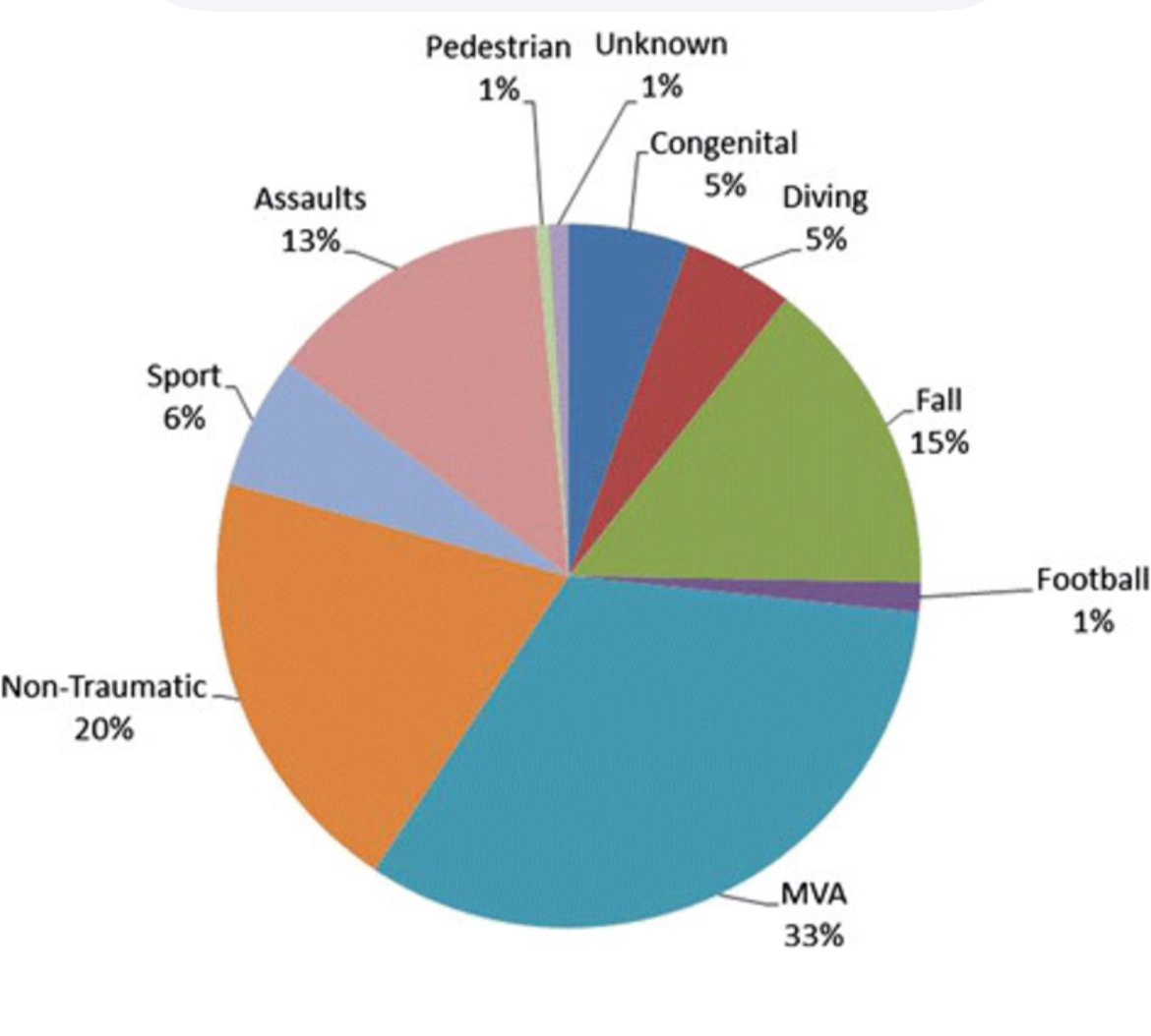 A pie chart illustrating the various causes of spinal cord injury with percentage.