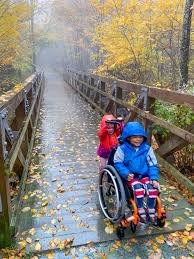 Two children in wheelchairs are on a bridge, with autumn leaves in shades of orange and yellow creating a picturesque scene.