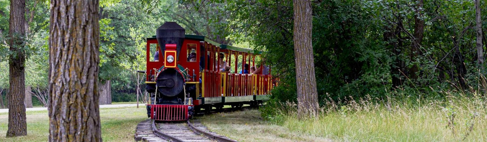 A vibrant red train travels along tracks, weaving through a dense forest filled with greenery and towering trees.