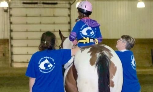 A woman helps a child mount a horse, providing guidance and encouragement for a safe riding experience.