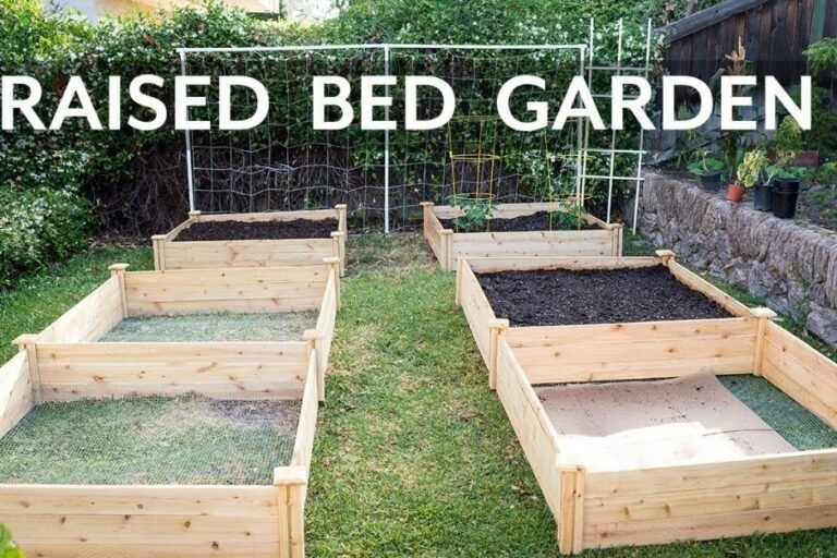 Raised Garden Beds - Wheelchair Adventures Manitoba