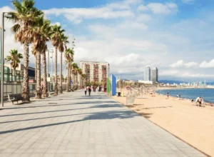 A beachfront promenade in Barcelona, lined with palm trees and benches. People walk along the path beside the sandy beach, with modern buildings visible in the background and a clear sky overhead.