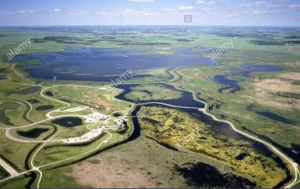 Aerial view of a vast landscape featuring winding rivers, wetlands, and green fields, with multiple ponds visible. The pattern of the land and water showcases the natural beauty of the area, relevant to Oat hammock Broadwalks.