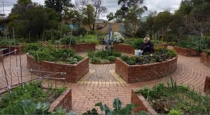 10 Wooden raised garden beds spaced in patio area